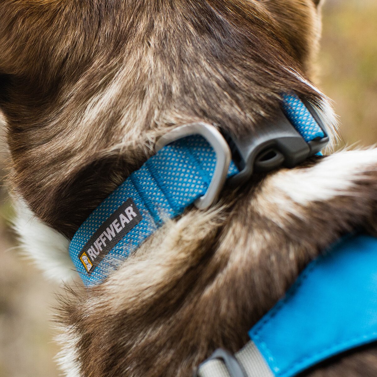 Ruffwear Collar Hi & Light (Neck circumference 51-66 cm - Blue Dusk)