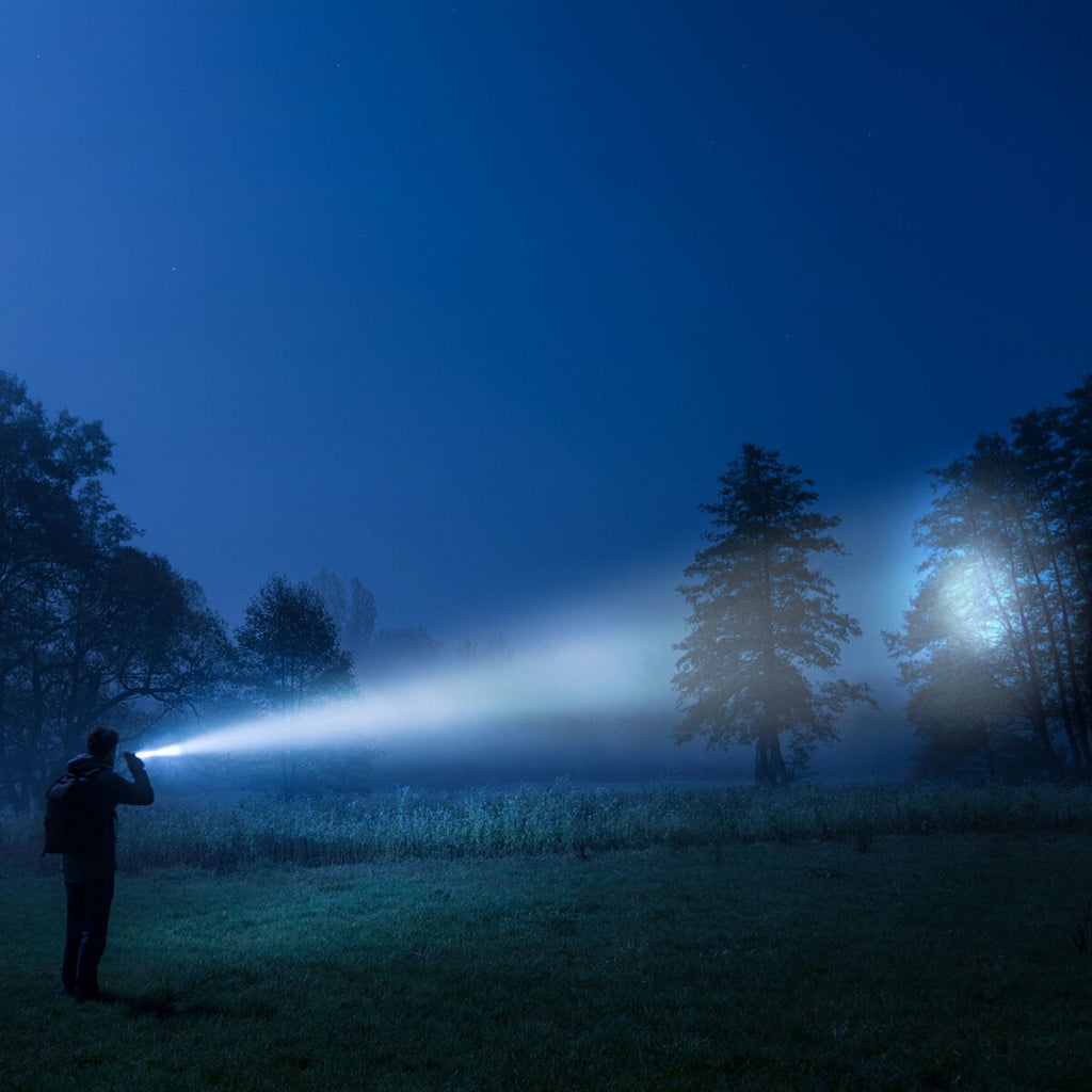 Ansmann Flashlight M900P
