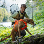 Ruffwear Dog Harness Web Master™ (Size XS (Chest 43-56cm) - Blaze Orange)