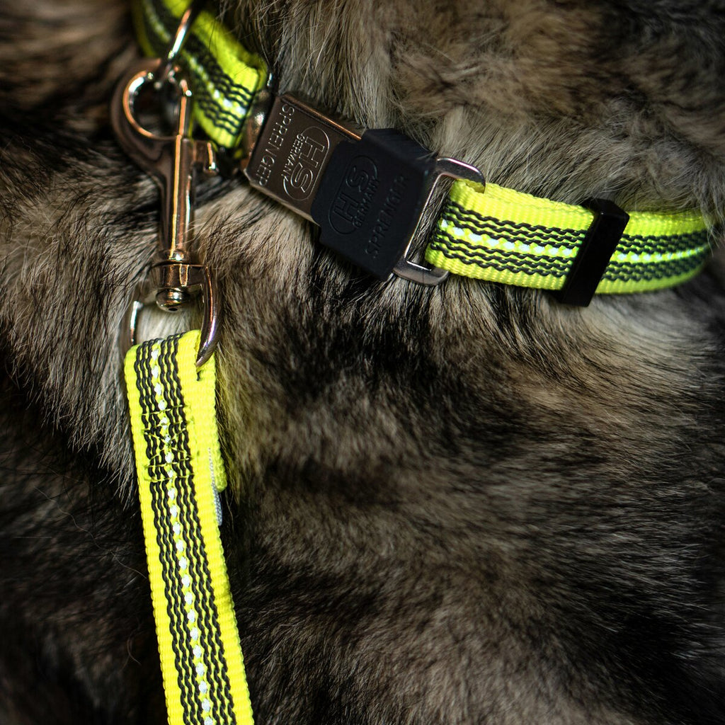 Sprenger Rubberized dog leash without hand strap (Signal yellow – length 1 m)