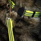 Sprenger Rubberized dog leash without hand strap (Signal yellow – length 1 m)