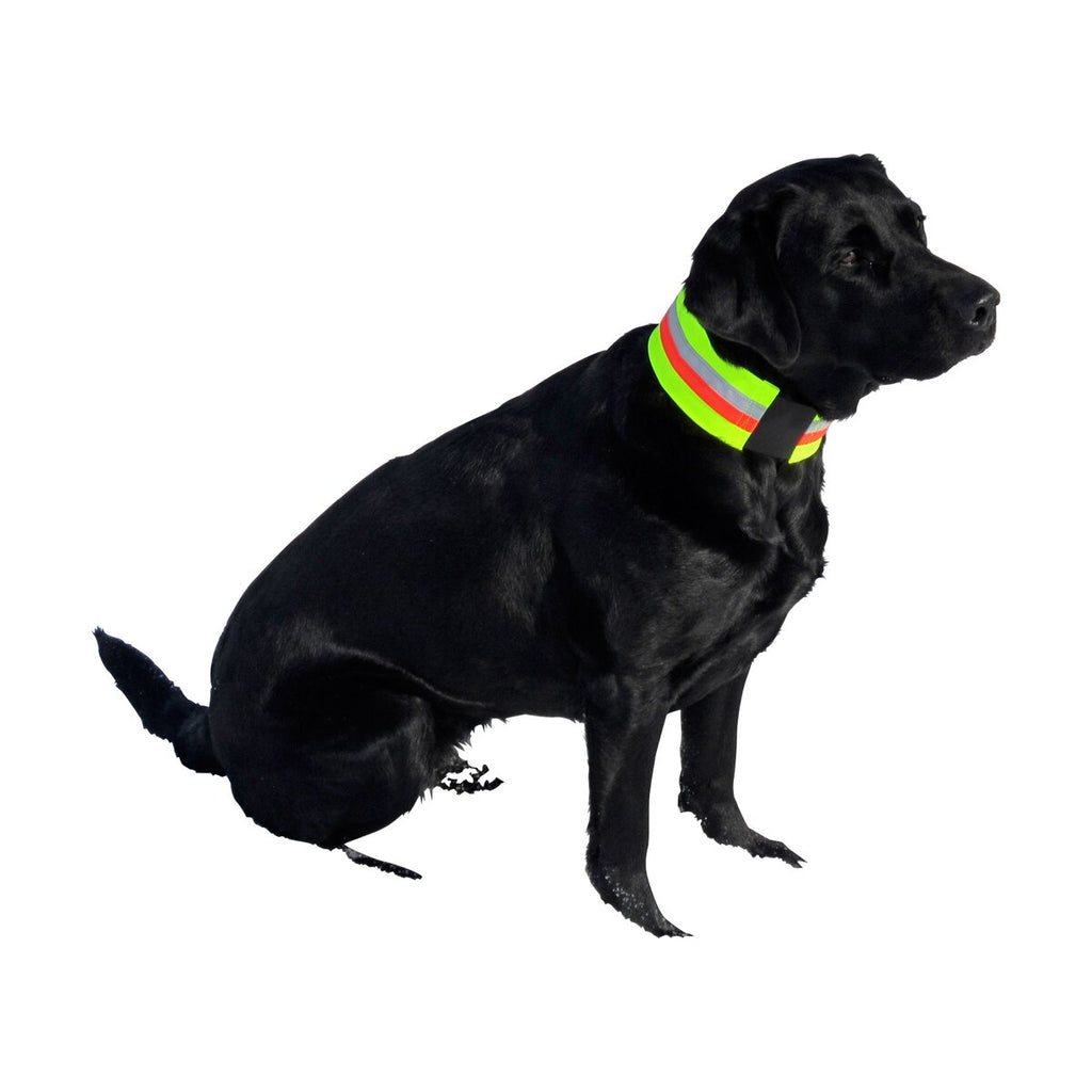 Heim Signal collar for dogs (48cm)