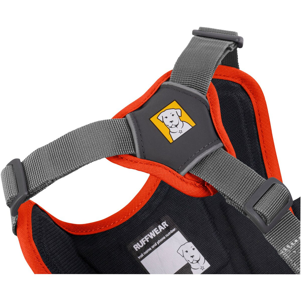 Ruffwear Dog Harness Web Master (Size L/XL (Chest 81-107cm) - Blaze Orange)
