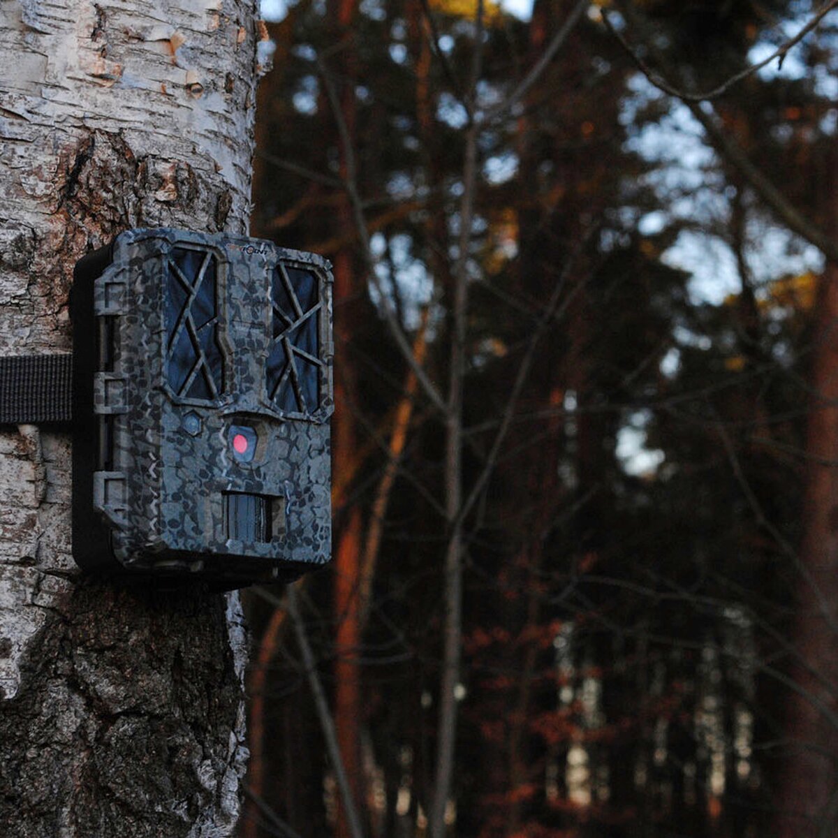 Spypoint Force Pro wildlife camera