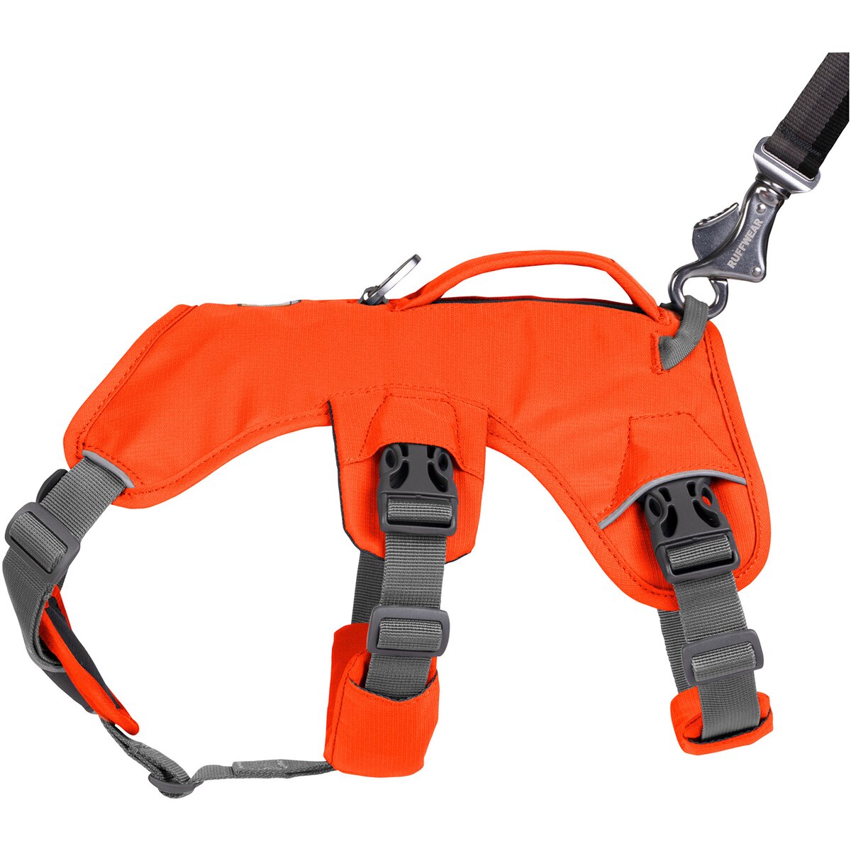 Ruffwear Dog Harness Web Master (Size L/XL (Chest 81-107cm) - Blaze Orange)