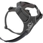 Ruffwear Front Range® dog harness new model (Size M (chest 69-81 cm) – Basalt Gray)