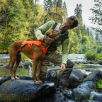 Ruffwear Dog Harness Web Master™ (Size XS (Chest 43-56cm) - Blaze Orange)