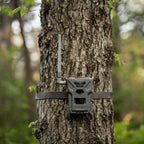 Spypoint Wildlife camera Flex-M – pack of 4