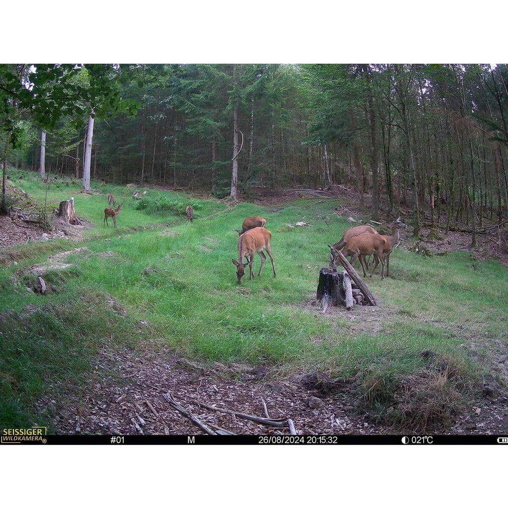 Seissiger Wildlife camera Mini-Cam