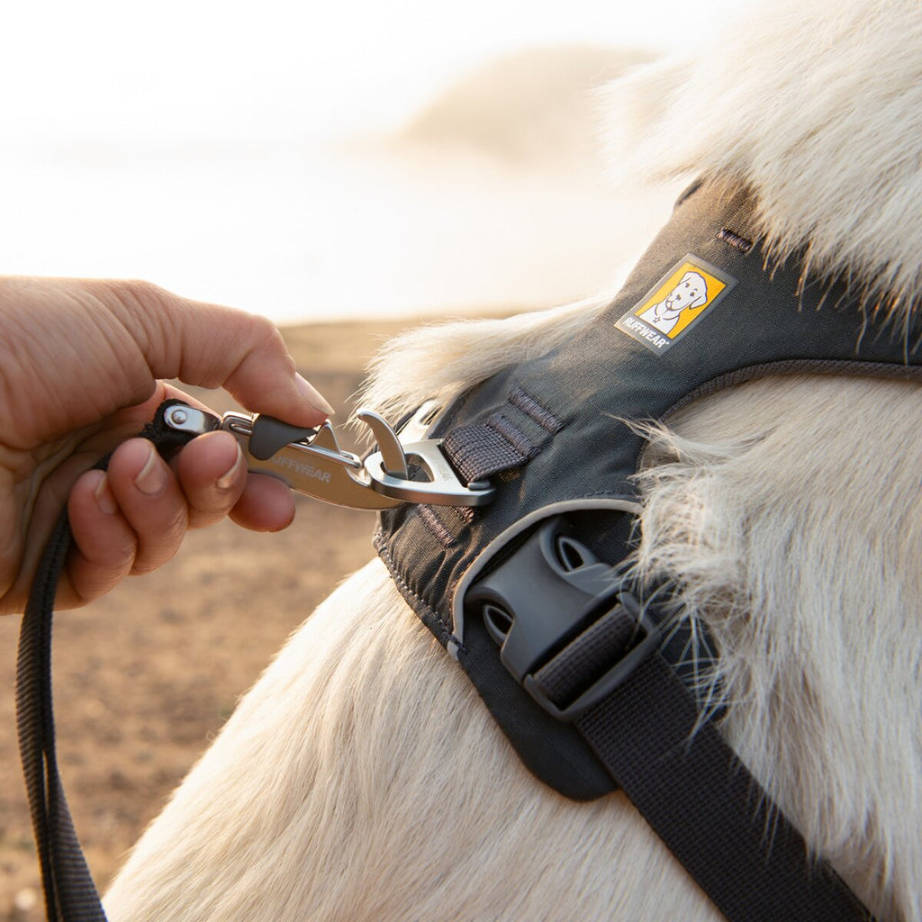 Ruffwear Front Range® dog harness new model (Size S (chest circumference 56-69 cm) – Basalt Gray)