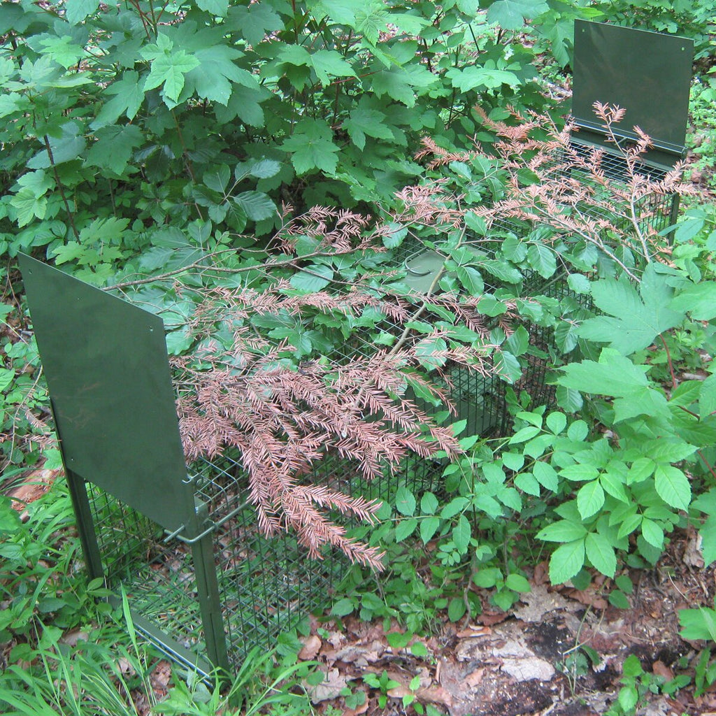 Live catch trap – two trap doors ((LxWxH): approx. 150x30.5x38 cm, weight: 12.5 kg)