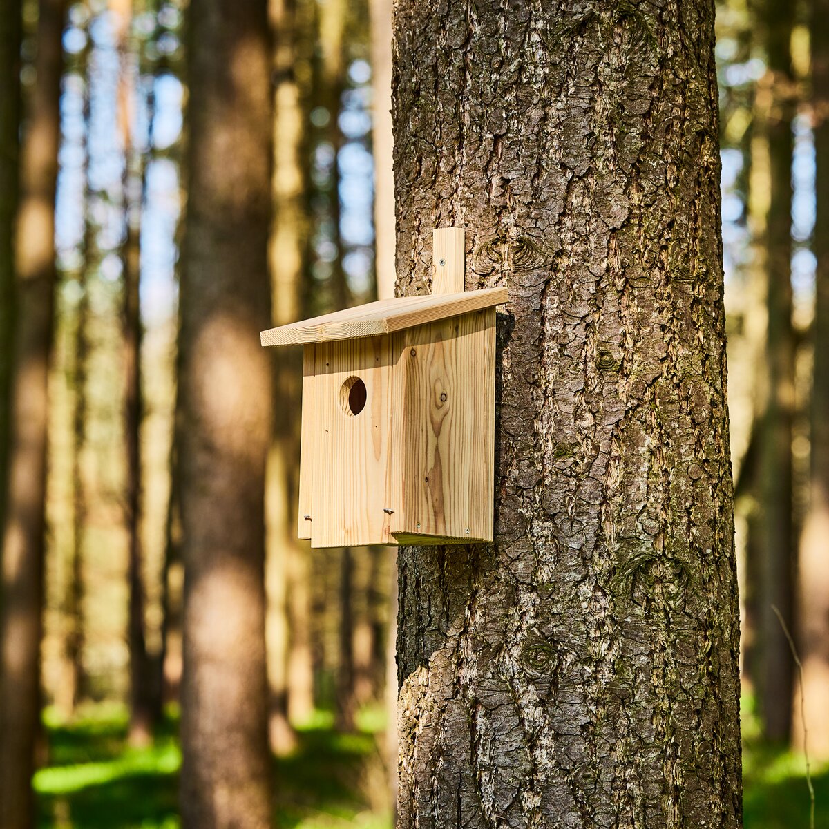 Wald & Forst Dobuma ligzdošanas kaste (cauruma izmērs 32 mm)