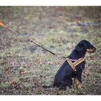 Heim Dog harness signal (Size M (chest 60-70cm, width 25mm))