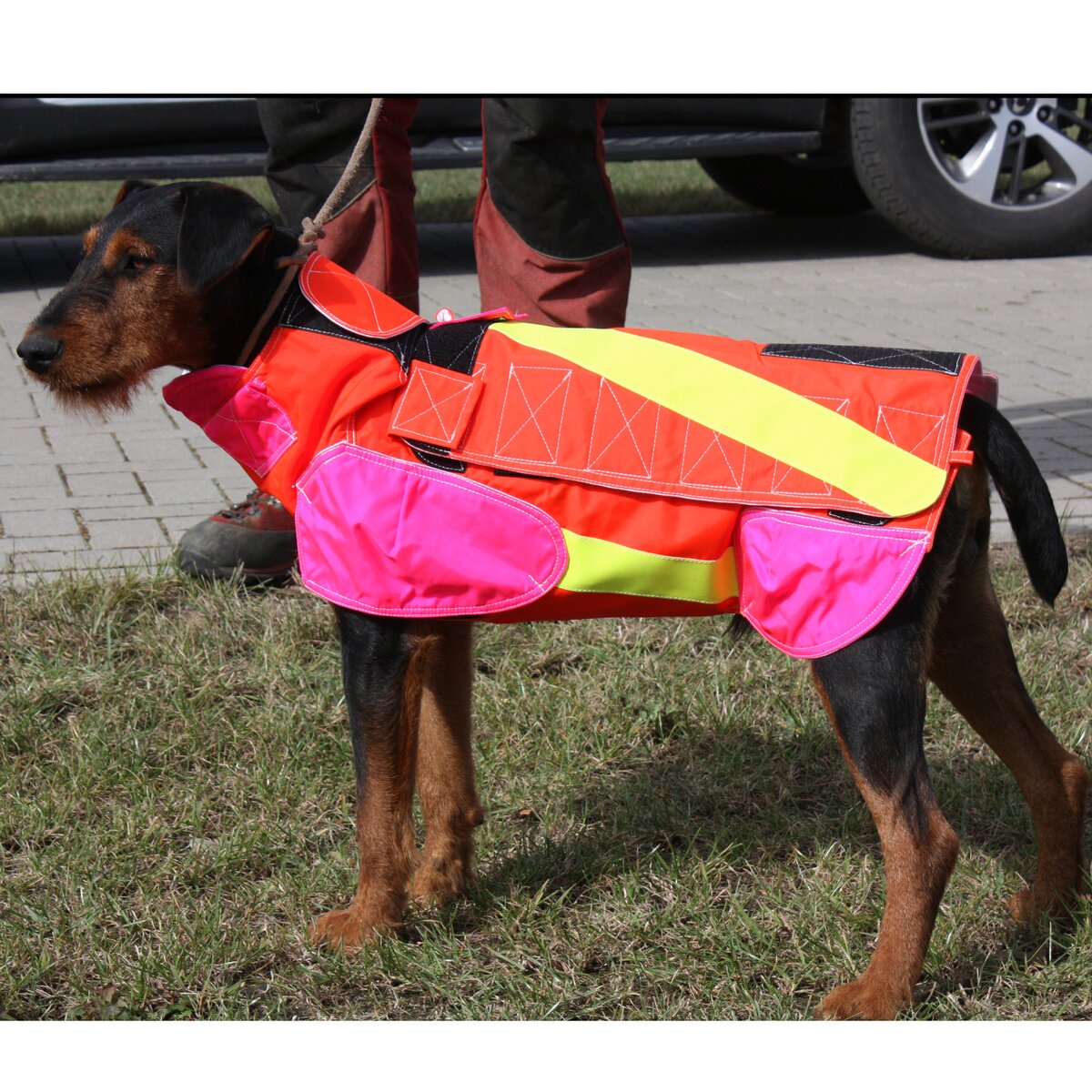 Out Dog Dog protective vest standard (Chest circumference 75 cm – male)