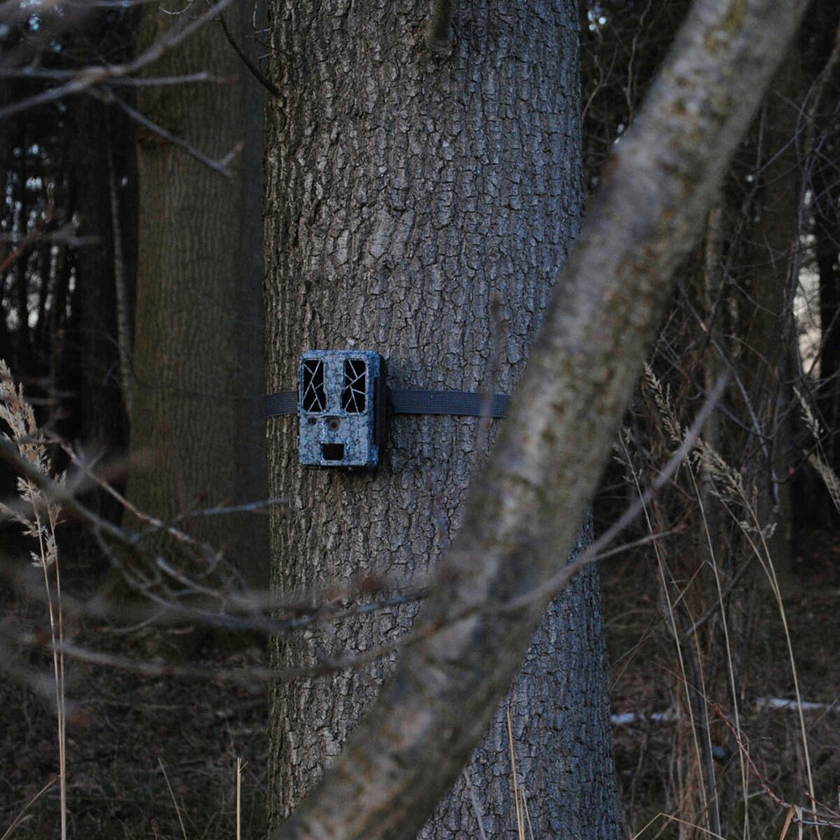 Spypoint Force Pro wildlife camera