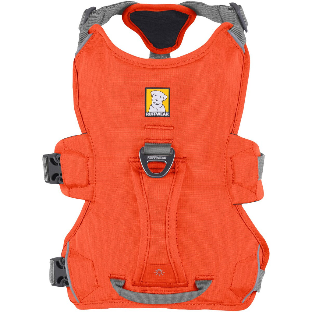 Ruffwear Dog Harness Web Master (Size L/XL (Chest 81-107cm) - Blaze Orange)