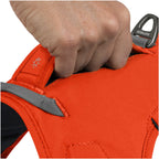 Ruffwear Dog Harness Web Master (Size L/XL (Chest 81-107cm) - Blaze Orange)