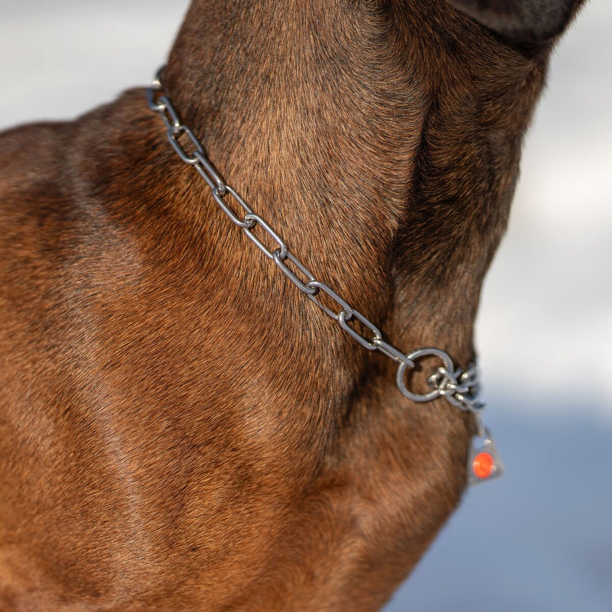 Sprenger Necklace with tension limiter – long links (Silver - 30cm)
