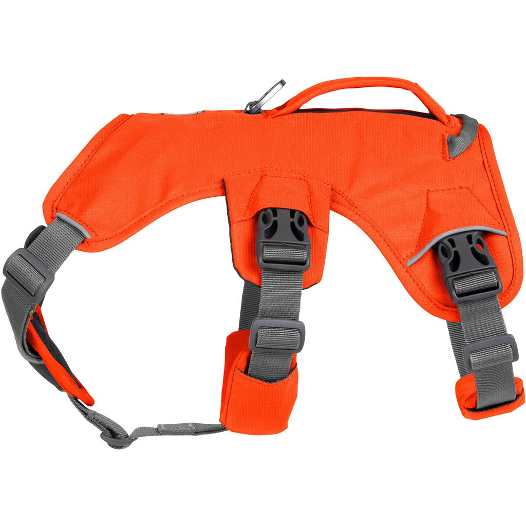 Ruffwear Dog Harness Web Master (Size L/XL (Chest 81-107cm) - Blaze Orange)